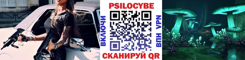Псилоцибиновые грибы Psilocybine cubensis  купить  сайты  Бакал 